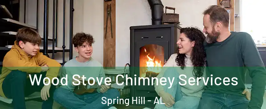 Wood Stove Chimney Services Spring Hill - AL