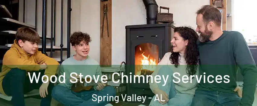 Wood Stove Chimney Services Spring Valley - AL