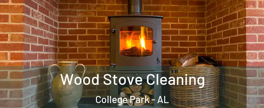 Wood Stove Cleaning College Park - AL