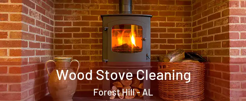 Wood Stove Cleaning Forest Hill - AL