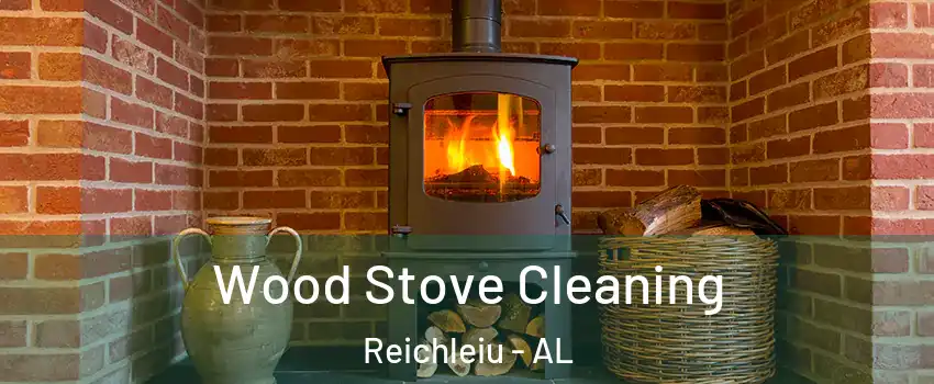 Wood Stove Cleaning Reichleiu - AL