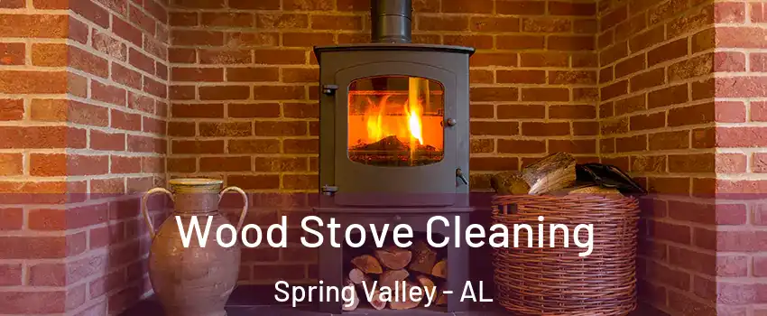 Wood Stove Cleaning Spring Valley - AL