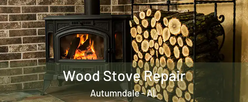 Wood Stove Repair Autumndale - AL