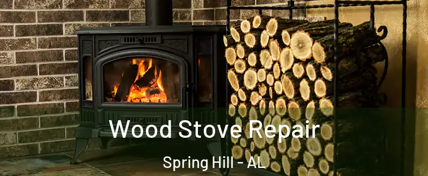 Wood Stove Repair Spring Hill - AL