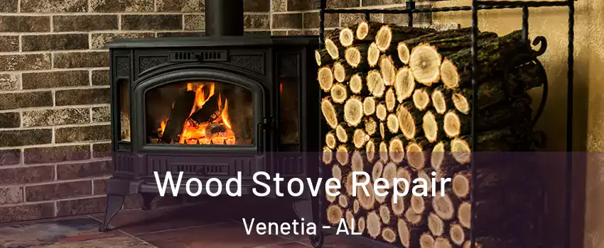 Wood Stove Repair Venetia - AL